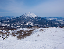 niseko
