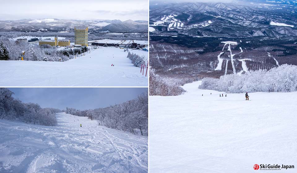 shiga_kogen